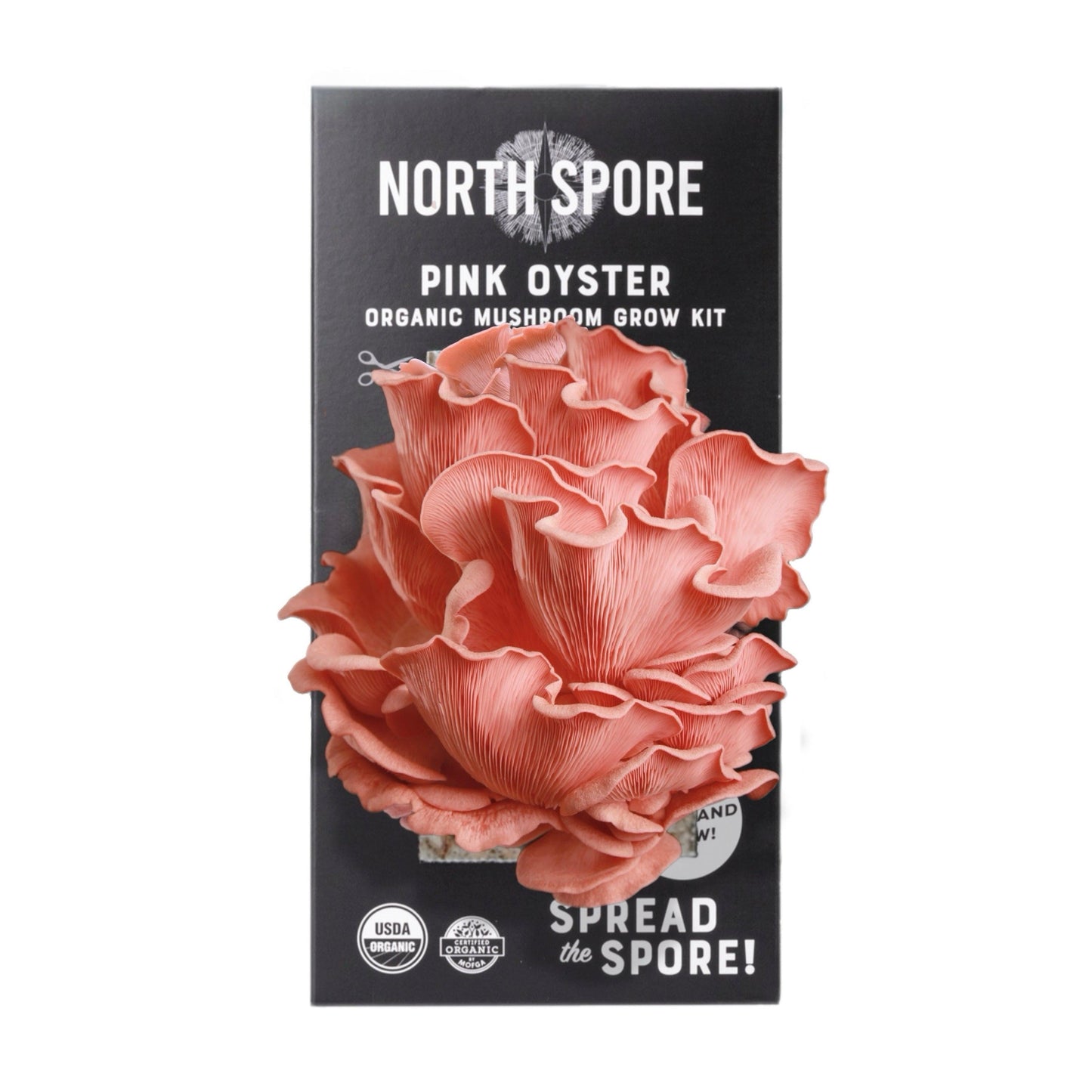 Organic Pink Oyster 'Spray & Grow' Mushroom Growing Kit