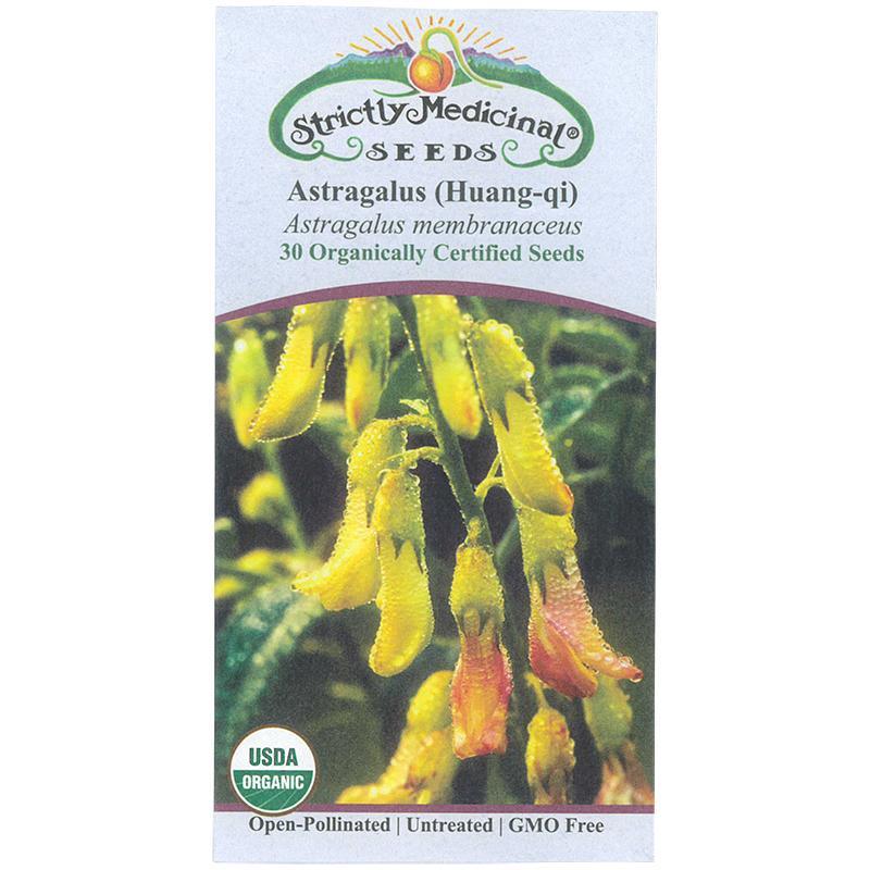 Astragalus Seeds (Organic)