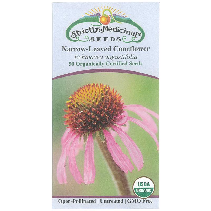 Narrow-leaved Coneflower Seeds (Organic)