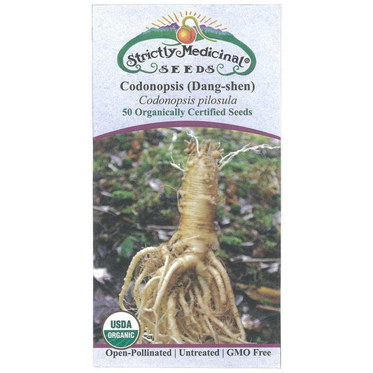 Dang-shen pilosula Seeds (Organic)