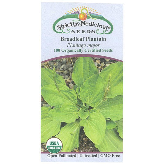 Plantain Broadleaf Seeds (Organic)