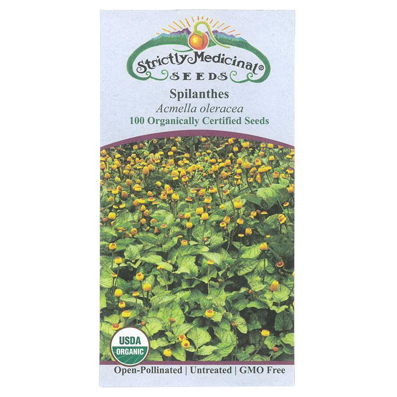 Spilanthes Seeds (Organic)