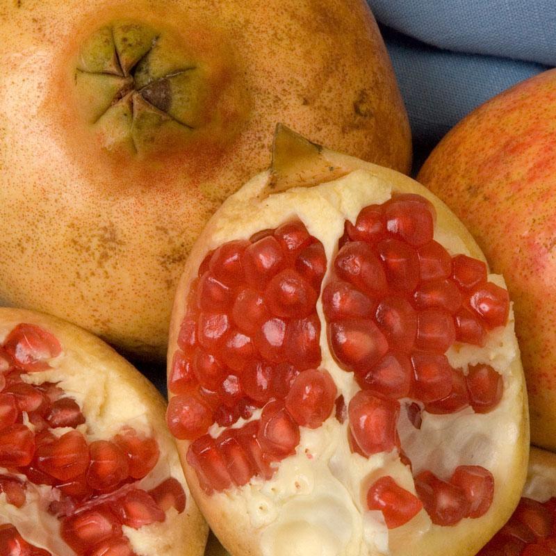 Potted Pomegranate Tree - Sweet