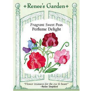 Perfume Delight Sweet Pea Flower Seeds