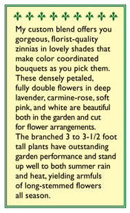Cool Crayon Colors Cutting Zinnia Flower Seed Mix