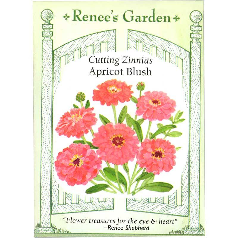 Apricot Blush Cutting Zinnia Flower Seeds