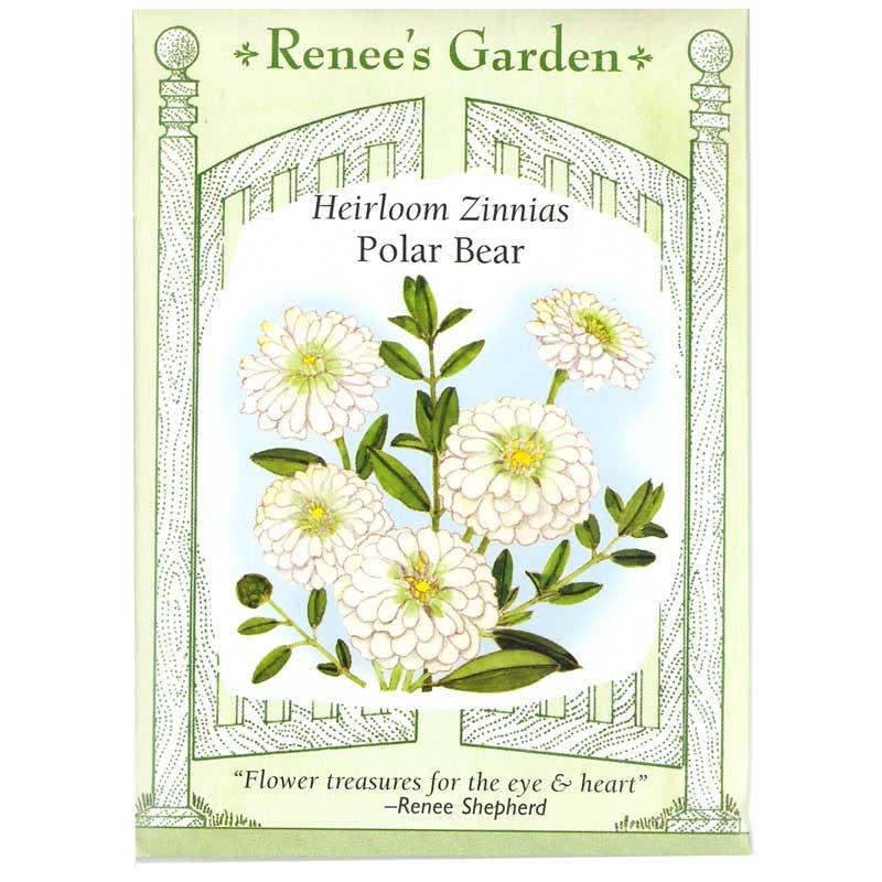 Polar Bear Zinnia Flower Seeds