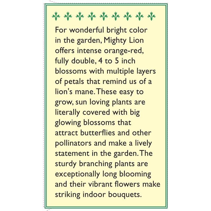 Mighty Lion Butterfly Zinnia Flower Seeds