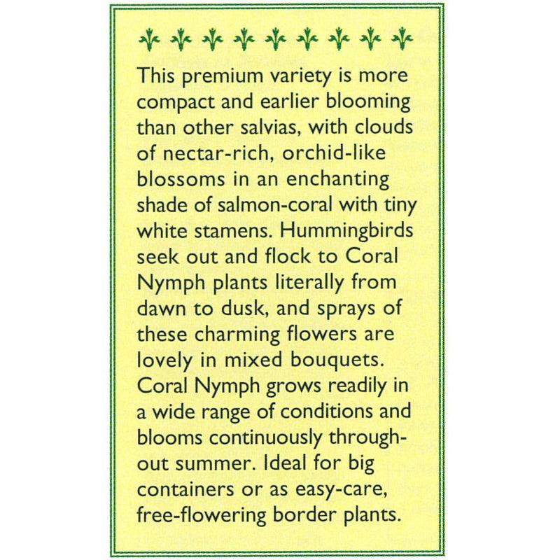 Coral Nymph Hummingbird Salvia Flower Seeds