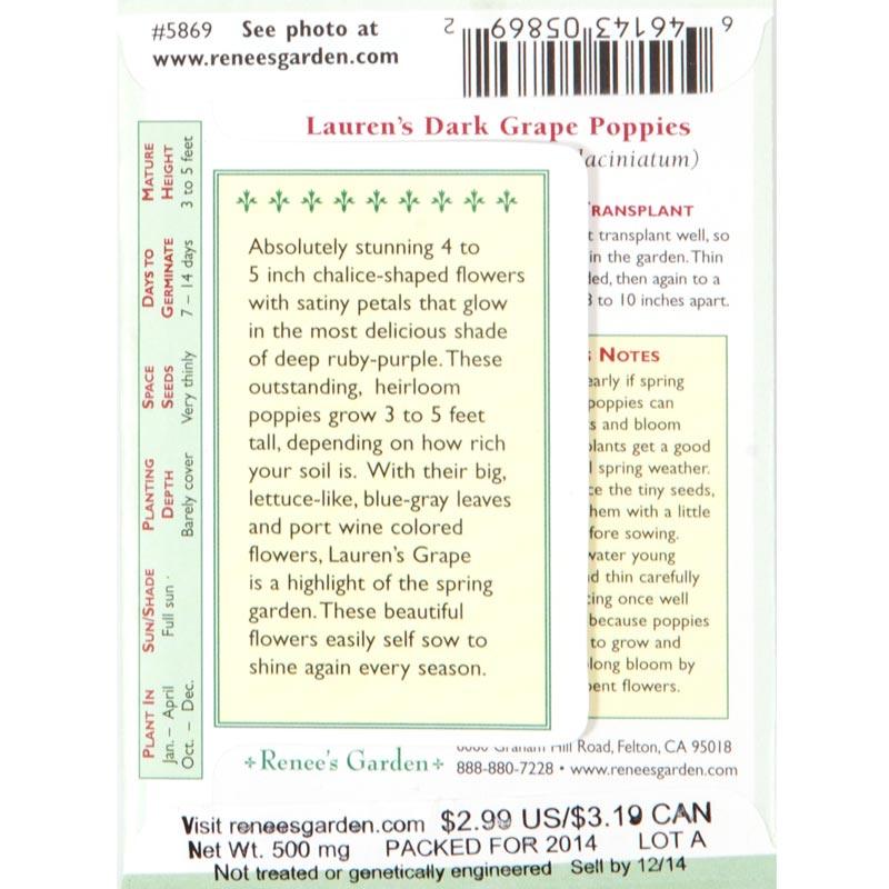 Lauren's Dark Grape Heirloom Poppy Flower Seeds