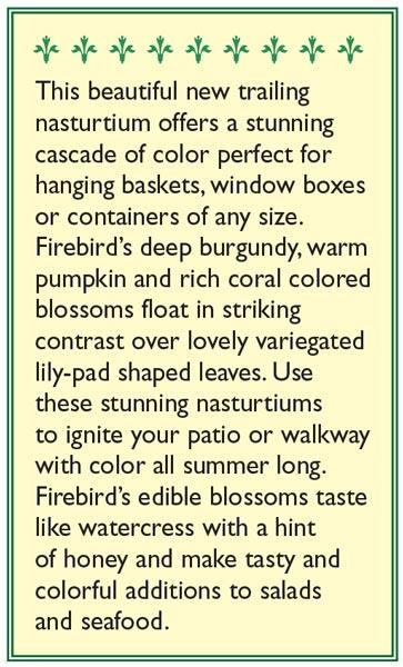 Little Firebirds Hanging Basket Nasturtiums Flower Seeds