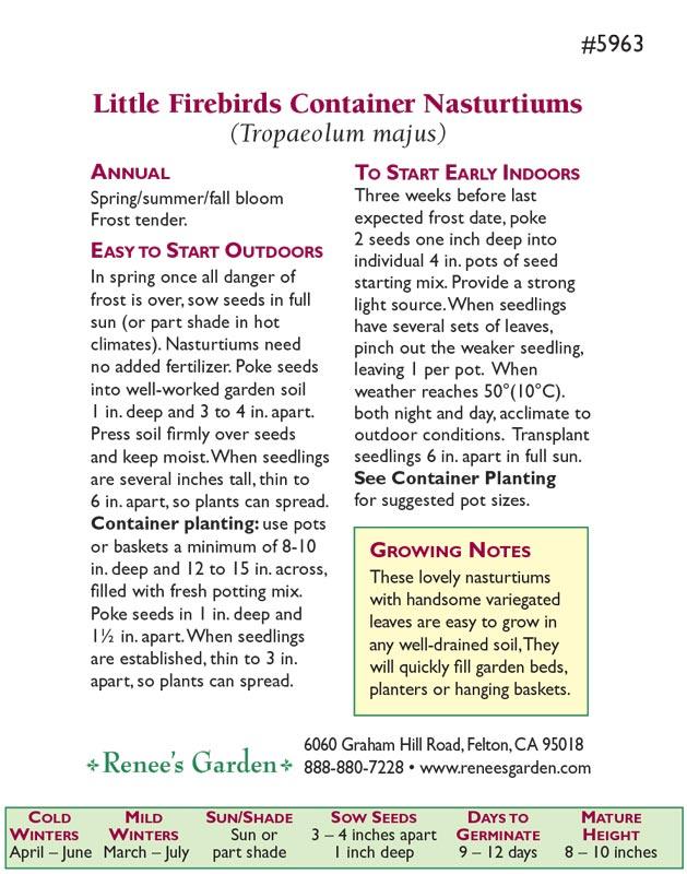 Little Firebirds Hanging Basket Nasturtiums Flower Seeds