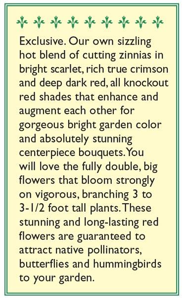 Moulin Rouge Cutting Zinnia Flower Seeds