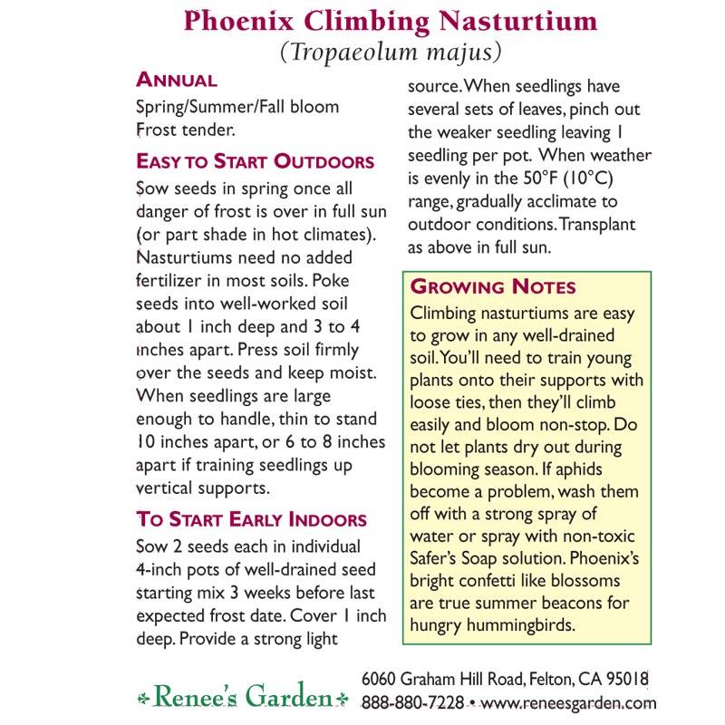 Phoenix Climbing Nasturtium Flower Seeds