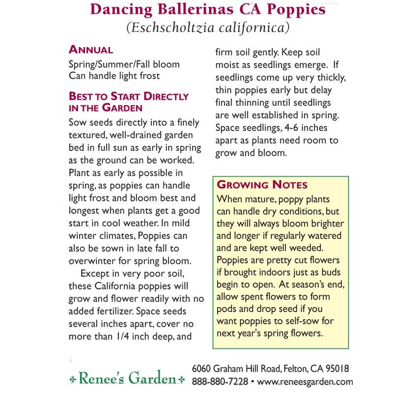 Dancing Ballerinas California Poppy Flower Seeds