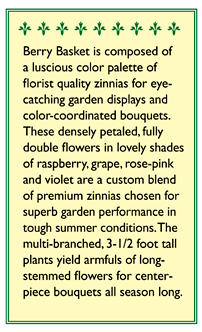 Berry Basket Cutting Zinnia Flower Seeds